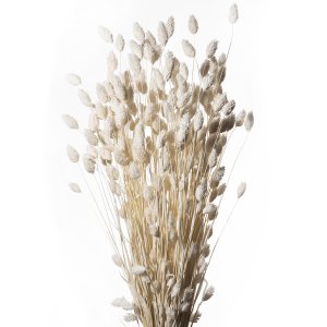POA BIANCO 01 BUSTE A CONO X 100 GR