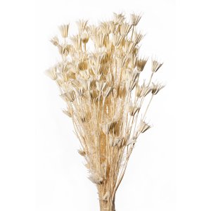 NIGELLA ORIENTALIS BIANCO 01 BUSTE A CONO X 100 GR