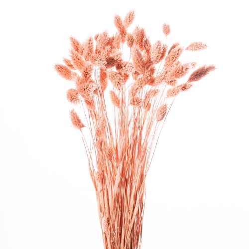 POA BABY ROSA 04/P SACCHETTO X 80 GR