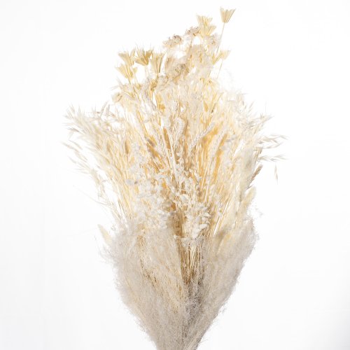 ASSORTIMENTO ERBE 05730 BIANCO 01 BUSTE A CONO X 200 GR