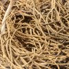 GUZANO CORTO NATURALE KG SFUSO