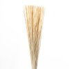 REED BUENDEL 80 CM BIANCO 01 KG SFUSO