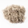 FOREST MOSS NATURALE KG SFUSO