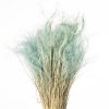 STIPA PENNATA CON PAGLIA BABY BLU 15/P KG SFUSO