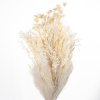 ASSORTIMENTO ERBE 05730 BIANCO 01 BUSTE A CONO X 200 GR