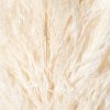 PAMPAS DADANG 50/70 CM BIANCO 01 PZ SFUSO