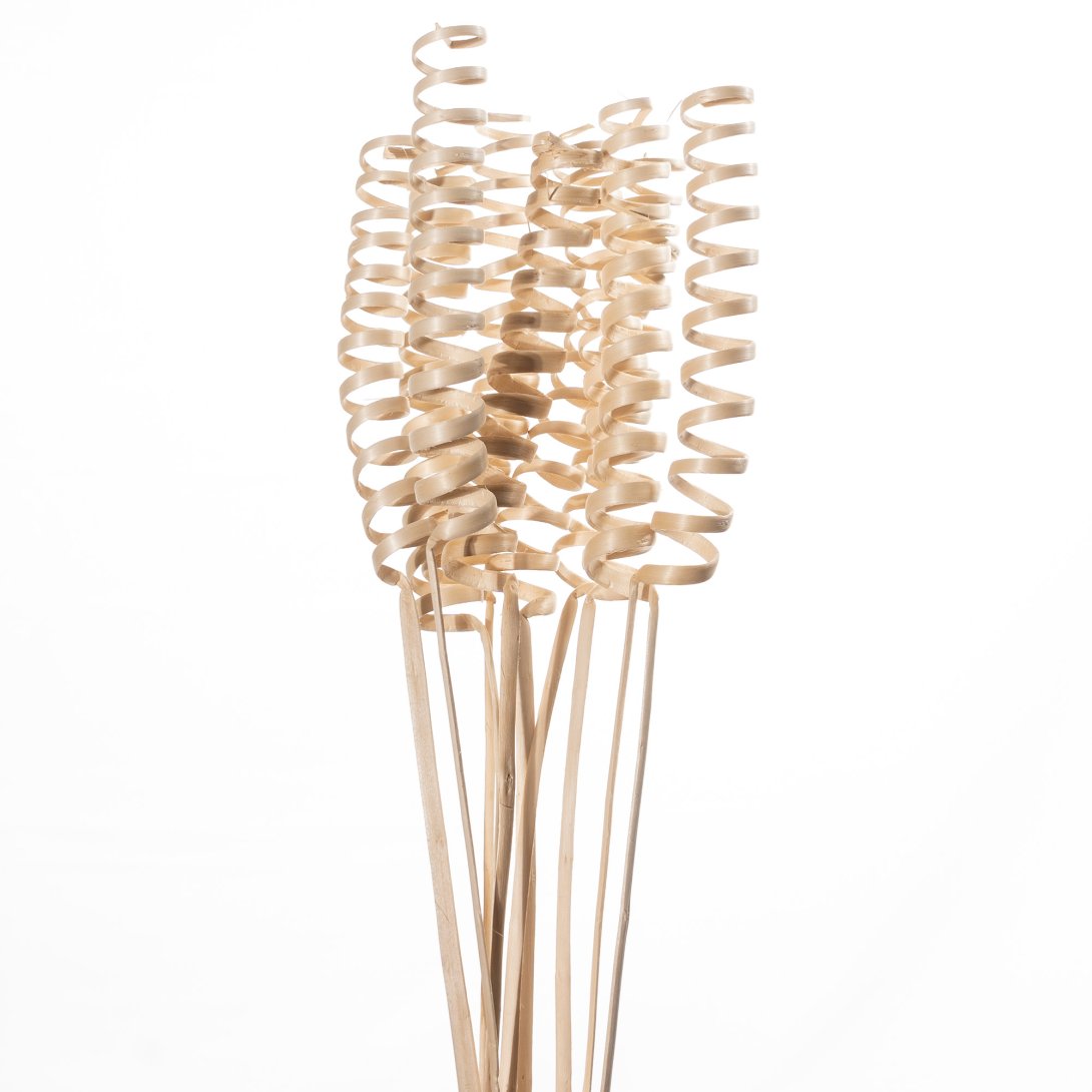 CANE SPRING NORMAL - BIANCO C., SACCHETTO, X 20 PZ