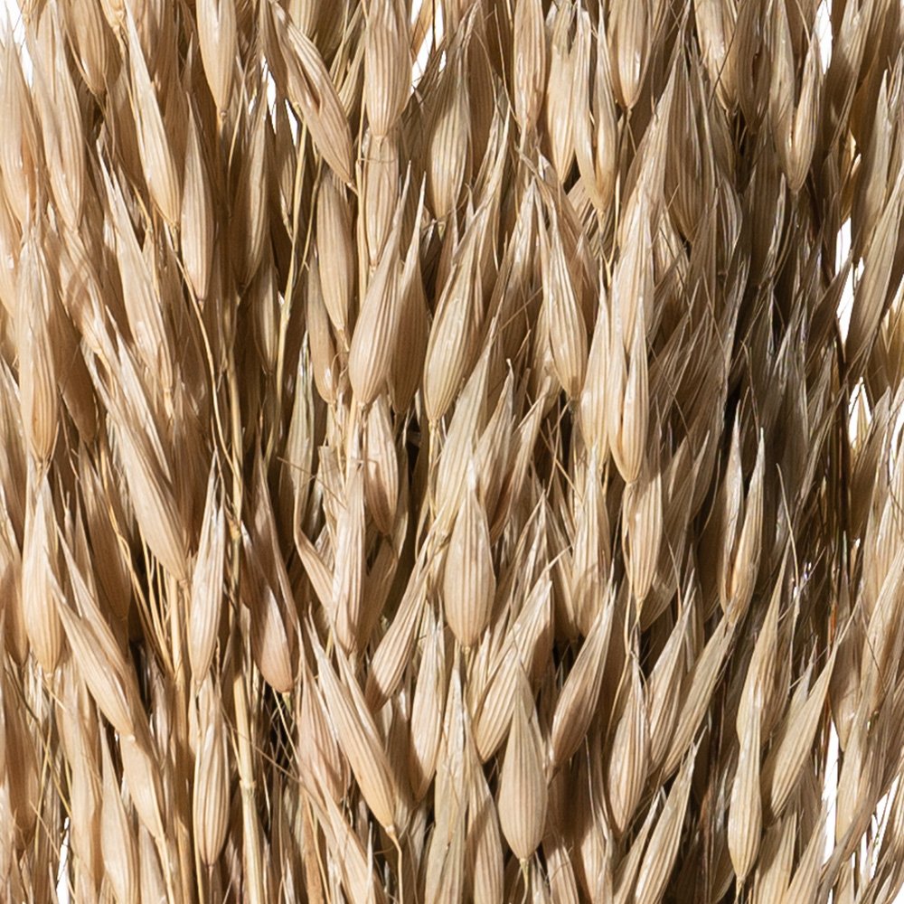 AVENA COLT NATURALE KG SFUSO