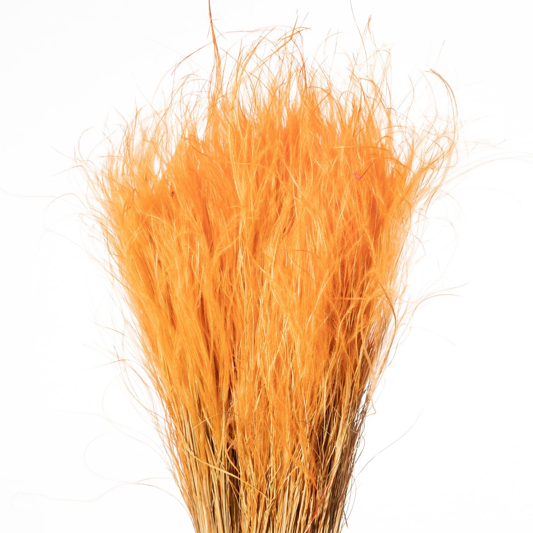 STIPA PENNATA CON PAGLIA ARANCIO CH 07/P SACCHETTO X 100 GR