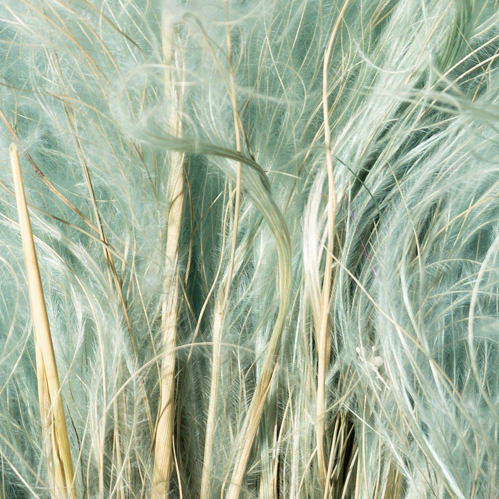 STIPA PENNATA CON PAGLIA BABY BLU 15/P KG SFUSO