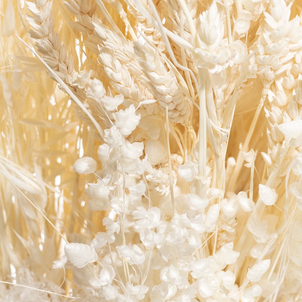 ASSORTIMENTO ERBE 05730 BIANCO 01 BUSTE A CONO X 200 GR